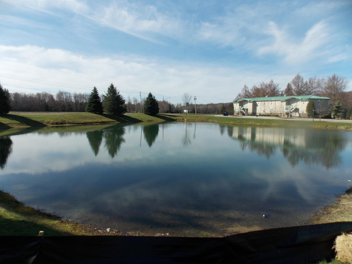 Fairway Suites At The Peak French Creek Экстерьер фото
